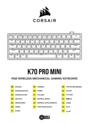 Corsair