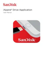 Sandisk