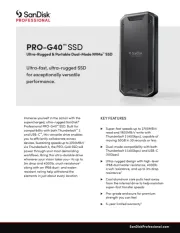 Sandisk