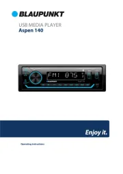 Blaupunkt