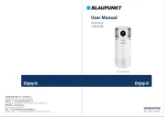 Blaupunkt
