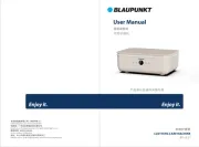 Blaupunkt