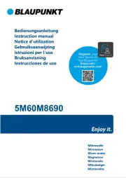 Blaupunkt