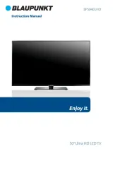Blaupunkt