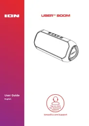 ION