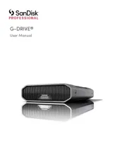 Sandisk