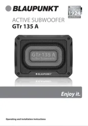 Blaupunkt