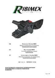 Ribimex