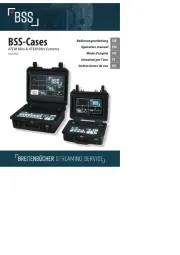 BSS Audio