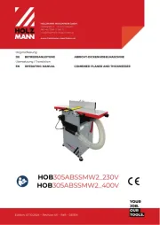 Holzmann