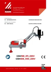 Holzmann
