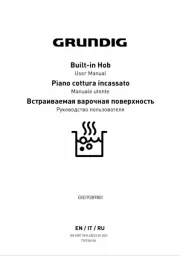 Grundig