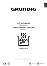 Grundig