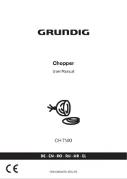 Grundig