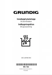Grundig
