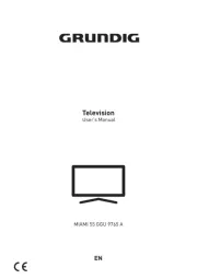 Grundig