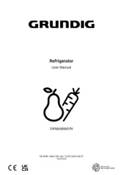 Grundig