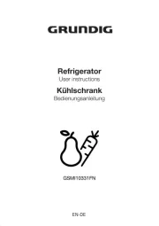 Grundig