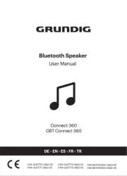 Grundig