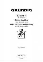Grundig