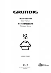 Grundig