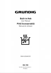 Grundig