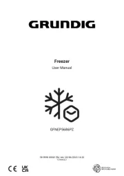 Grundig