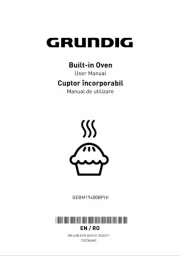 Grundig