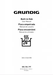 Grundig