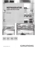 Grundig