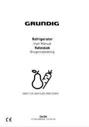 Grundig