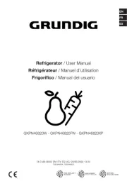 Grundig