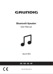 Grundig