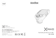 Godox