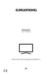 Grundig