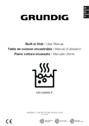Grundig