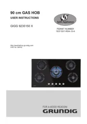 Grundig