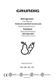 Grundig