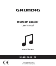 Grundig