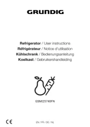 Grundig