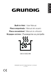 Grundig