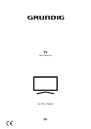 Grundig