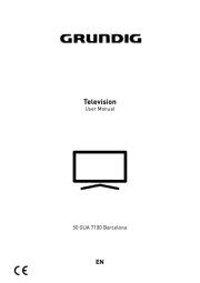 Grundig