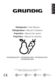 Grundig