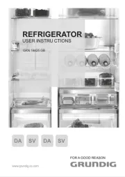 Grundig