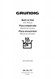 Grundig