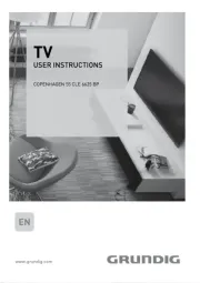 Grundig