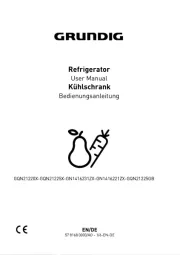 Grundig