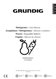 Grundig