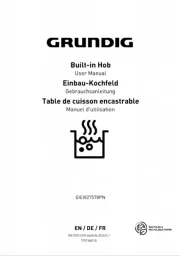 Grundig
